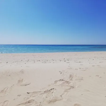 Baia Near The דירה