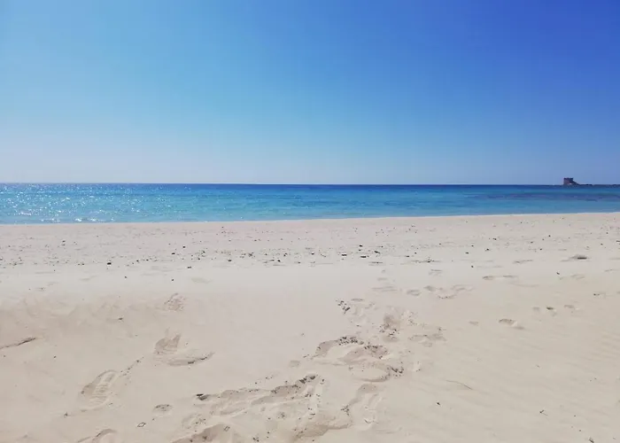 Baia Near The Apartment