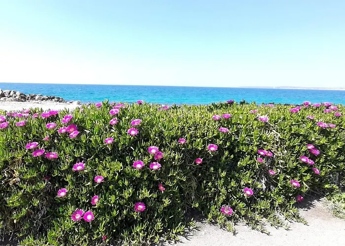 Baia Near The Apartment *